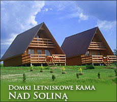solina domki