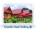 Domki nad Soliną