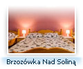 Brzozówka - Wołkowyja