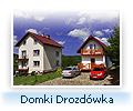 Noclegi Domki Drozdowka