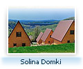 Domki Solina
